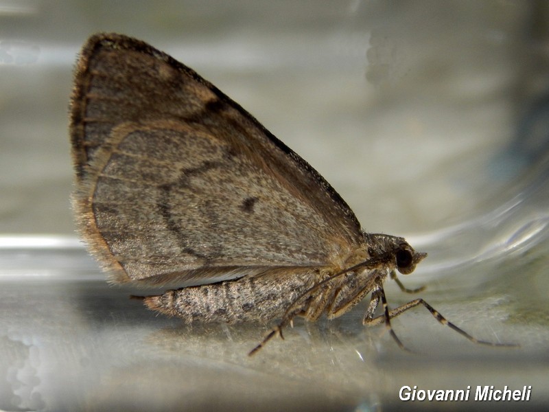 Thera britannica??? S